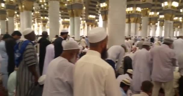 Muslims praying inside haram Masjid (mosque) Nabawi in Al Madinah, Saudi Arabia — Stockvideo
