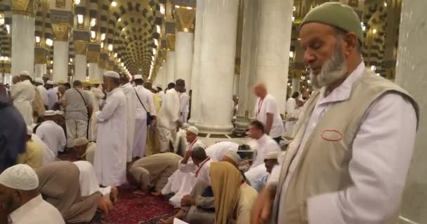 Muçulmanos orando dentro haram Masjid (mesquita) Nabawi em Al Madinah, Arábia Saudita — Vídeo de Stock