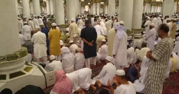 Muçulmanos orando dentro haram Masjid (mesquita) Nabawi em Al Madinah, Arábia Saudita — Vídeo de Stock