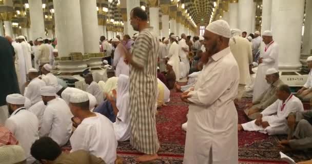 Muçulmanos orando dentro haram Masjid (mesquita) Nabawi em Al Madinah, Arábia Saudita — Vídeo de Stock