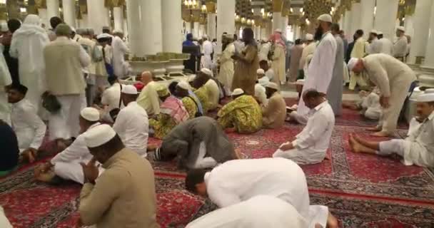 Muçulmanos orando dentro haram Masjid (mesquita) Nabawi em Al Madinah, Arábia Saudita — Vídeo de Stock