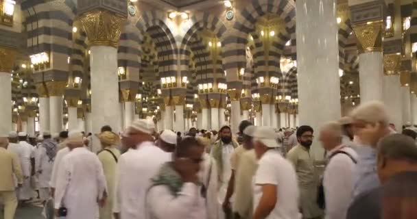 Muslims praying inside haram Masjid (mosque) Nabawi in Al Madinah, Saudi Arabia — стокове відео