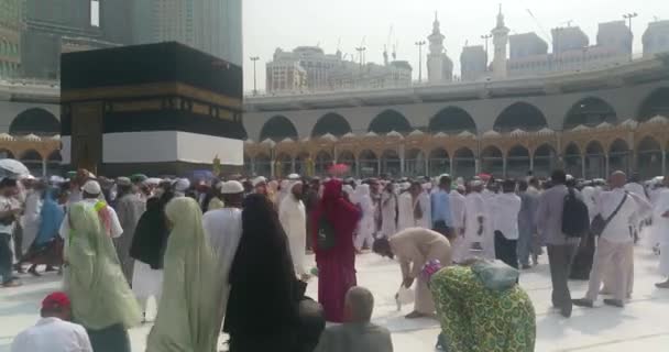 MECCA, SAUDI ARABIA, setembro de 2016 - Peregrinos muçulmanos de todo o mundo se reuniram para realizar Umrah ou Hajj na Mesquita Haram em Meca . — Vídeo de Stock