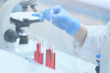 Genetik laboratuarındaki mikrobiyolojik pipette. Bilim işçiliği