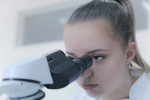 Genç bayan bilim adamı mikroskopla bir çalışmanın içine bakıyor. — Stok fotoğraf