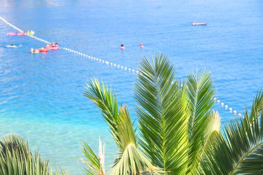 Kıyı manzaralı, yeşil ağaçlı mavi deniz..