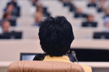 Konferansta lider olarak konuşan bir iş kadını. Seyirciler...