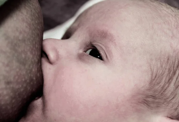 Jonge moeder borstvoeding haar babyjongen — Stockfoto