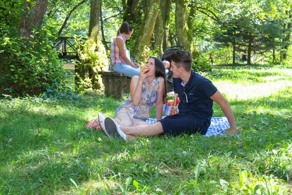 Счастливая семья на пикнике в зеленом парке — стоковое фото