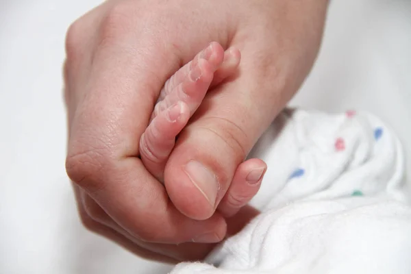 Mão de bebê segurando motherfinger, bebê recém-nascido — Fotografia de Stock