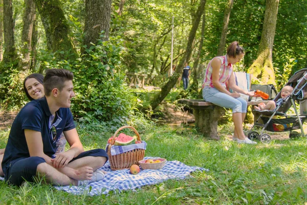 在绿地公园野餐的快乐家庭 — 图库照片