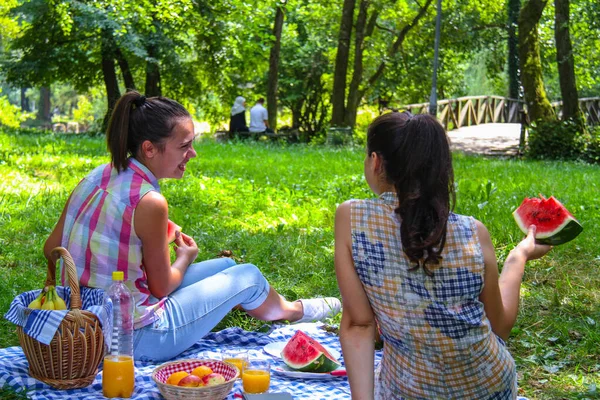 Casal feliz desfrutar de piquenique no parque — Fotografia de Stock