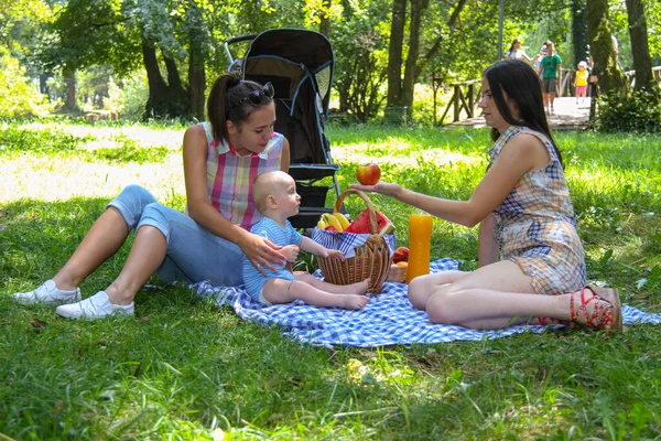 Photo Des Amis Heureux Profiter Pique Nique Dans Parc — Photo