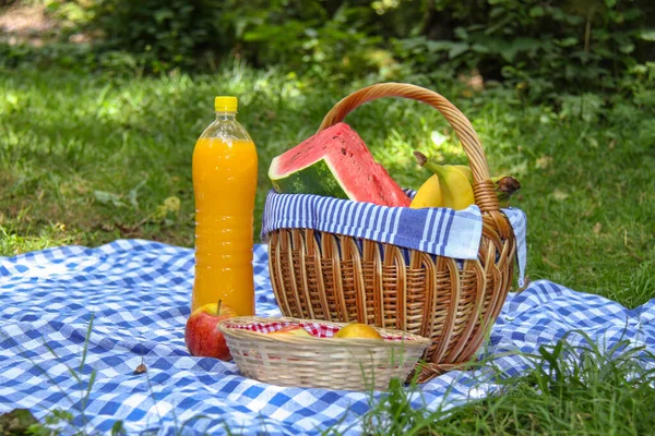 Pareja feliz disfrutar de un picnic en el parque — Foto de Stock