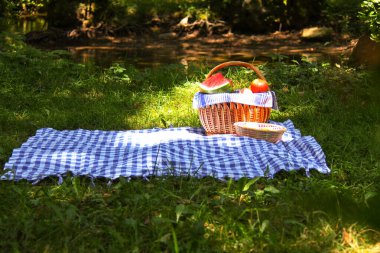 Üzerinde mavi piknik örtüsü olan piknik sepeti.