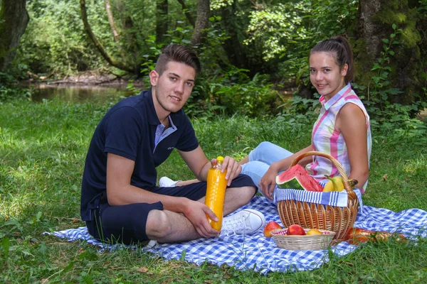 Pareja feliz disfrutar de un picnic en el parque — Foto de Stock