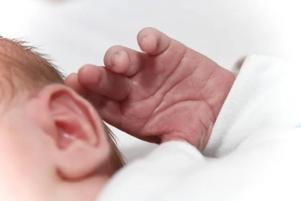 Hand van de kleine mannelijke baby — Stockfoto