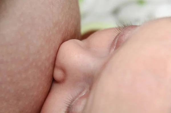 Young mother breastfeeding her baby boy — Stock Photo, Image