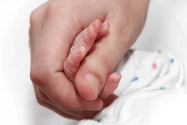 Baby hand holding motherfinger, new born baby — Stock Photo, Image