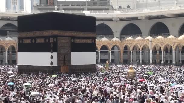 Мекка, Саудівська Аравія, вересень 2016 - мусульманських паломників з усього світу зібралися, щоб виконувати умри або на Харам мечеть Хаджу в Мекку. — стокове відео