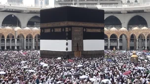 MECCA, ARABIE SAOUDITE, septembre 2016 - Des pèlerins musulmans du monde entier se sont rassemblés pour célébrer l'Omra ou le Hadj à la mosquée Haram de La Mecque . — Video