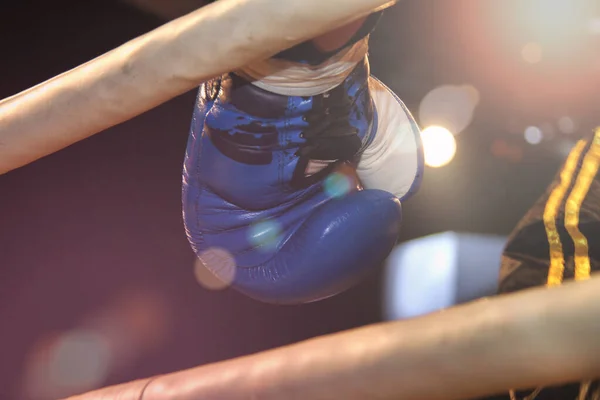 Professional boxer during match, prepairing for fight, close up — Stock Photo, Image