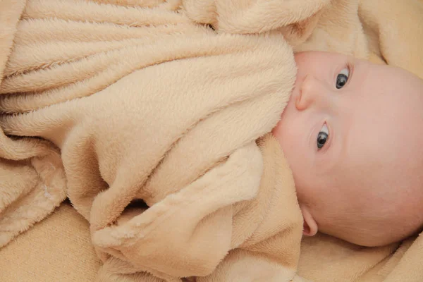 Beautiful baby boy, five months old playing — стоковое фото