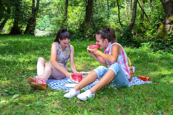 Счастливая пара наслаждается пикником в парке — стоковое фото