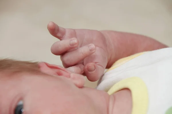 Belles mains de bébé — Photo