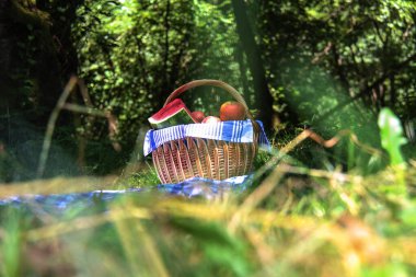 Üzerinde mavi piknik örtüsü olan piknik sepeti.