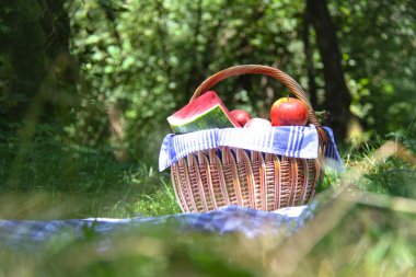 Üzerinde mavi piknik örtüsü olan piknik sepeti.