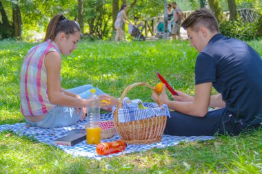 Mutlu çift parkta pikniğin tadını çıkarın.