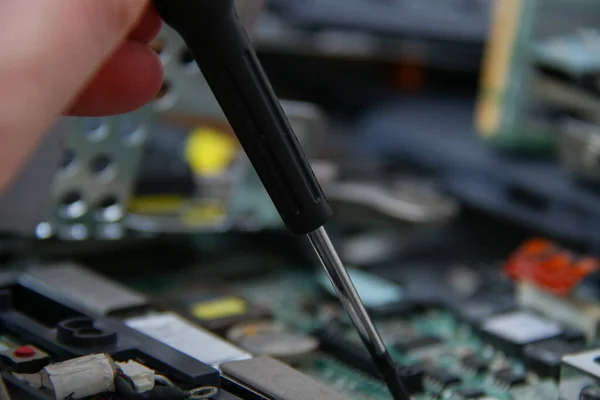 Professional laptop repair — Stock Photo, Image