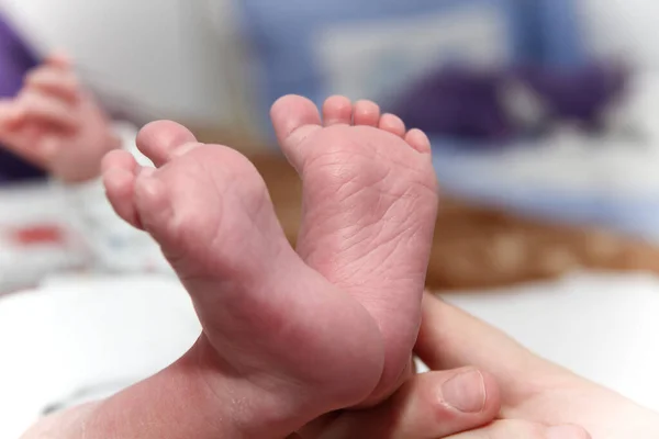 Baby's foot in mother hands, newborn baby little legs — Stock Photo, Image