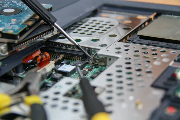 Professional laptop repair — Stock Photo, Image