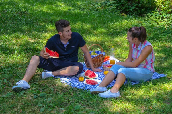 这对快乐的夫妇在公园里野餐愉快 — 图库照片