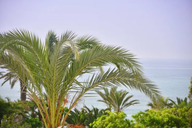 Güneşli bir günde güzel bir tropik plaj. Issız bir ada. Topraklar