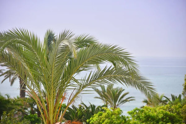 Güneşli bir günde güzel bir tropik plaj. Issız bir ada. Topraklar