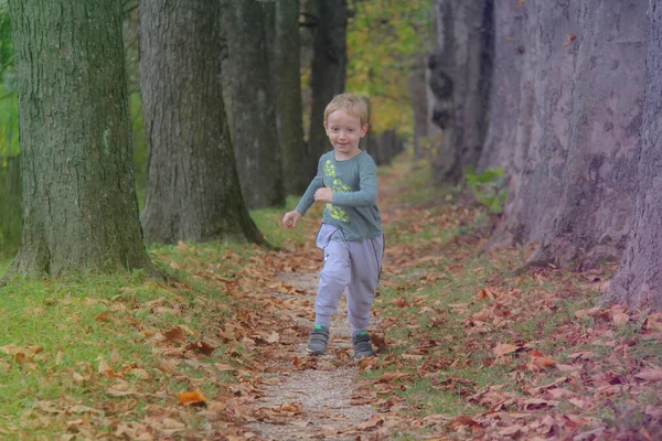 Tatlı çocuk, sonbahar caddesinde eğlenen çocuk, atlayıp kaçan... — Stok fotoğraf