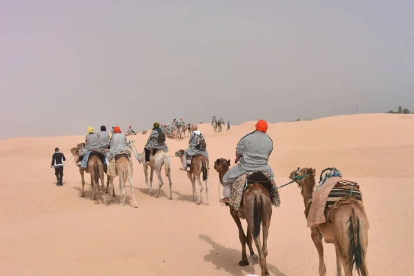 Beduini in abiti tradizionali a cavallo cammelli nel deserto del sahara , — Foto Stock