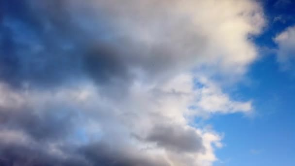 Witte wolken met blauwe lucht achtergrond. — Stockvideo