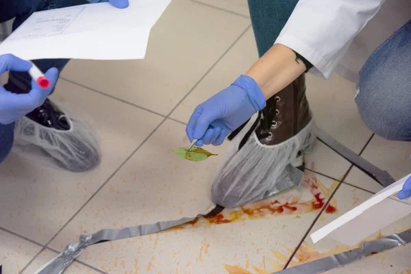 Tecnici forensi che prelevano campioni di DNA da macchie di sangue con lettino — Foto Stock