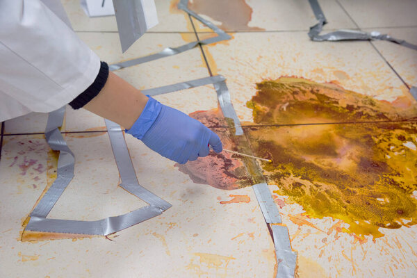 Forensic technicians taking DNA sample from blood stain with cot