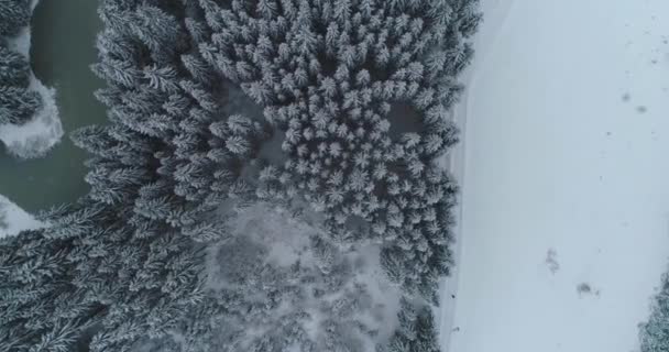 Drone photo snow covered trees, winter nature beautiful Europe a — Stock Video