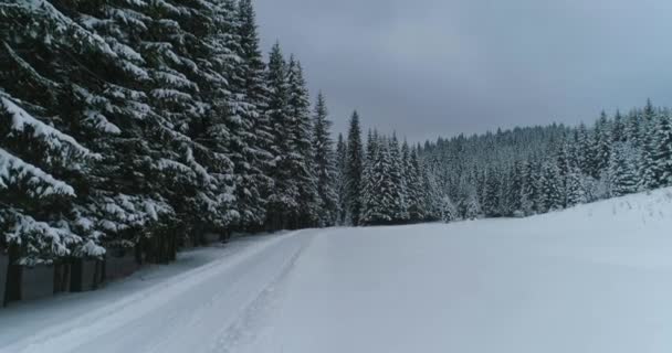 Drone photo snow covered trees, winter nature beautiful Europe a — Stock video