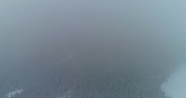 无人机照片雪覆树木，冬季自然美丽的欧洲 — 图库视频影像
