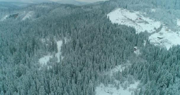 Drone foto árboles cubiertos de nieve, naturaleza de invierno hermosa Europa un — Vídeo de stock