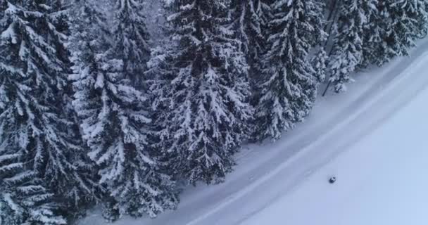 Drone photo snow covered trees, winter nature beautiful Europe a — ストック動画