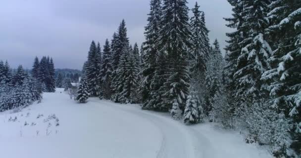 Drone foto neve coberto de árvores, inverno natureza bela Europa a — Vídeo de Stock