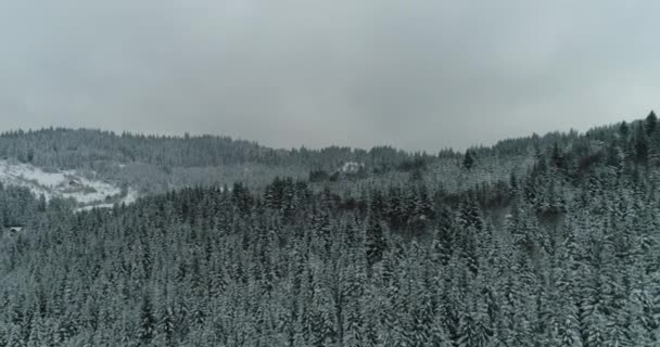 Drone foto árboles cubiertos de nieve, naturaleza de invierno hermosa Europa un — Vídeo de stock